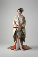 IU04575　菊花青海紋