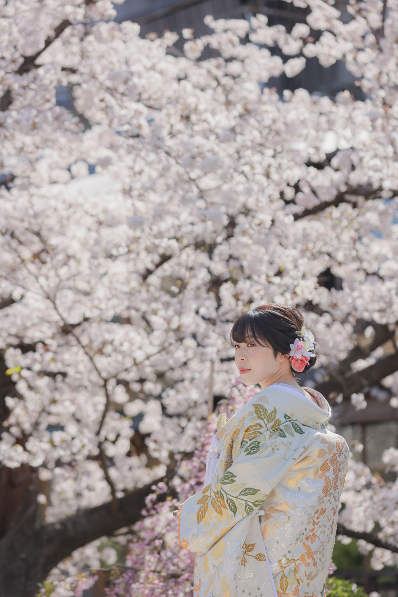 桜を背景になんとも艶やかな１枚