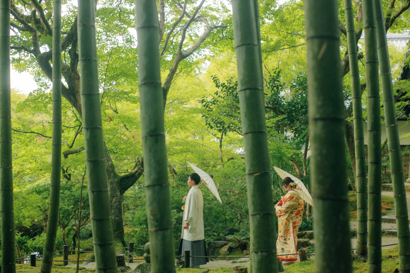竹林にて。