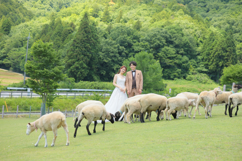 素敵な体験を！