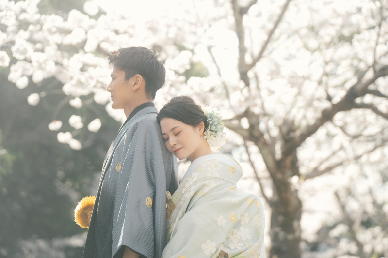 麗しい和装姿を大覚寺の桜と