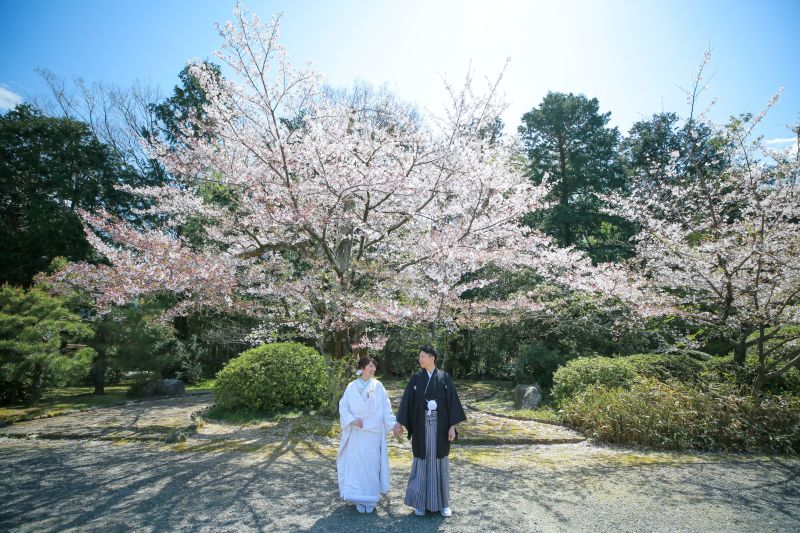 定番ポーズから、カジュアルポーズまで♪