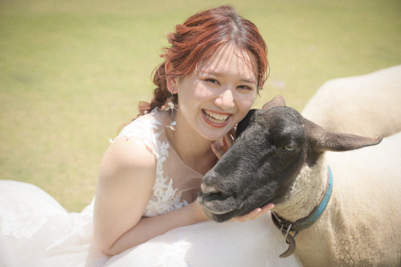 羊さんとこんなに近くまで近づけます！