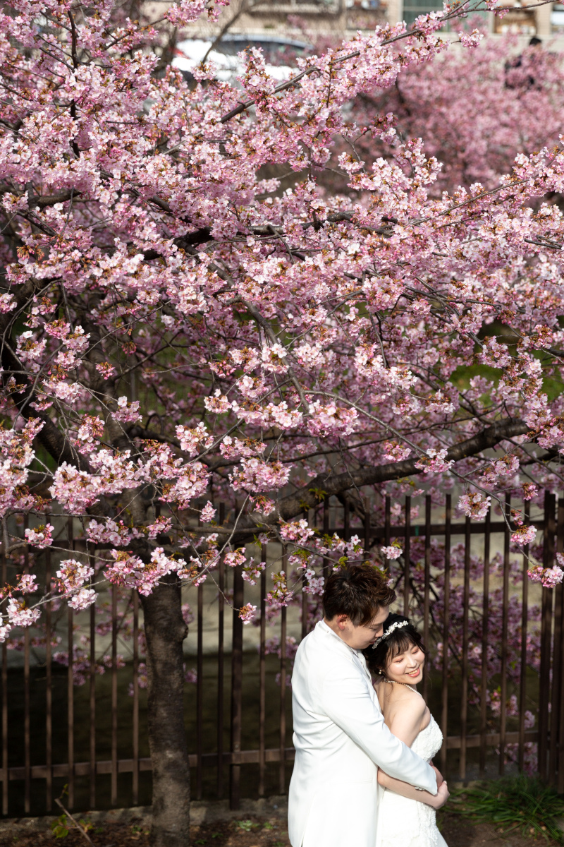 早咲きの河津桜の鮮やかなピンク色が素敵！