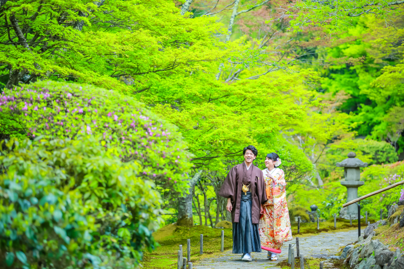 眩しいほどの新緑。