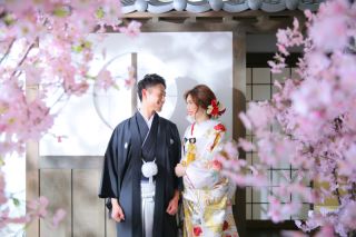 【屋内庭園】で色鮮やかな撮影を♪