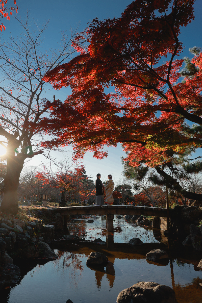 紅葉の鮮やかなコントラストが美しい１枚