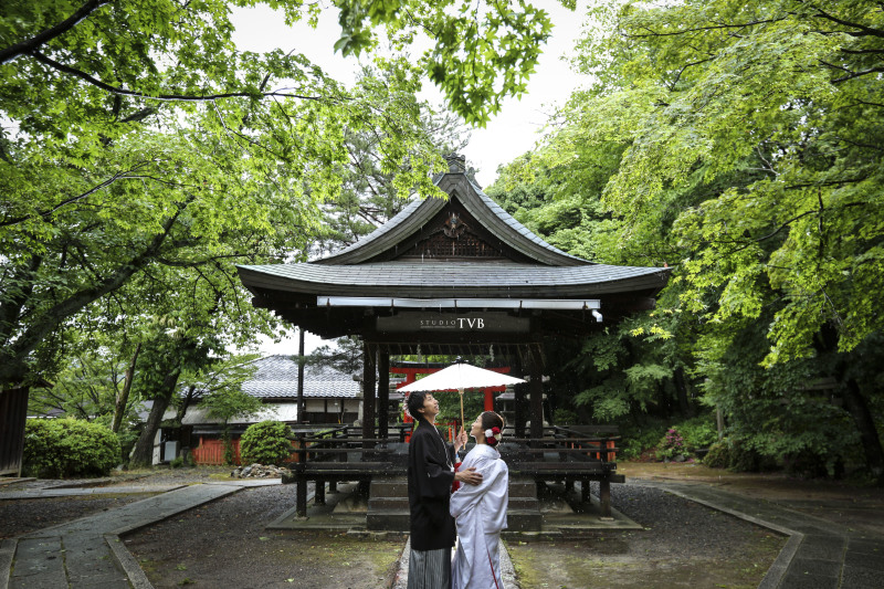 美しい緑をバックに