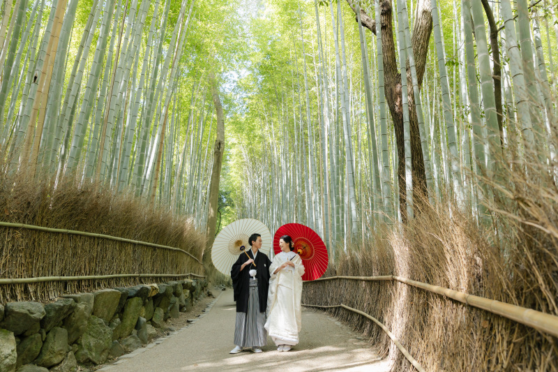 まずは竹林を散策