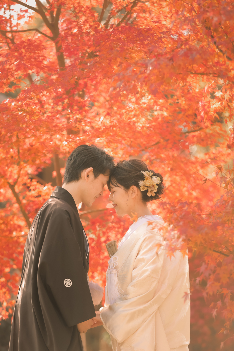 京都の紅葉の名所、円山公園でした。