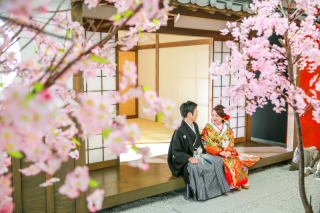 スタジオTVB京都店自慢の屋内庭園です!!