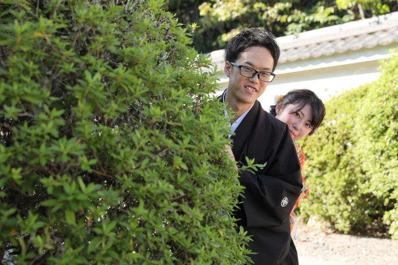 ひょっこりはん