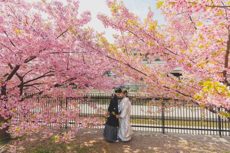 向かった先は淀川周辺