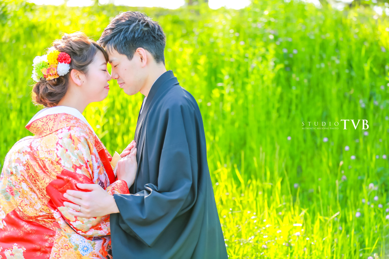 鮮やかな緑を一面に。