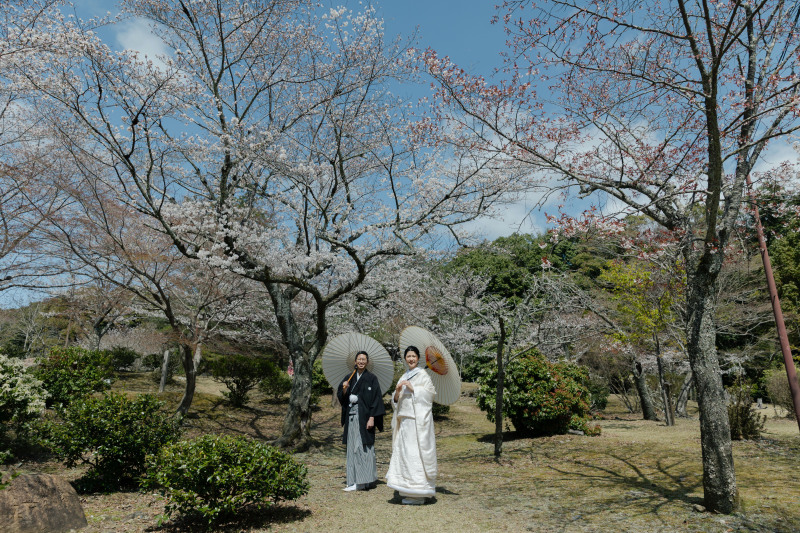桜の木の下でも