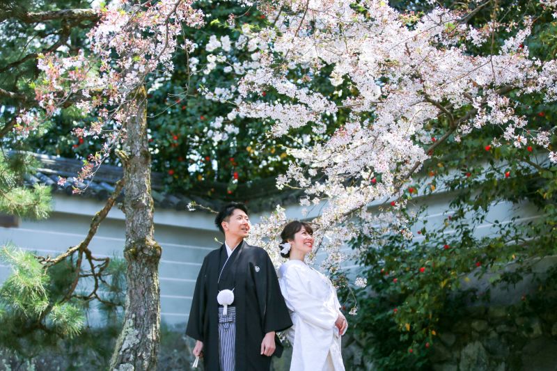 春を歌う、桜と一緒に♪