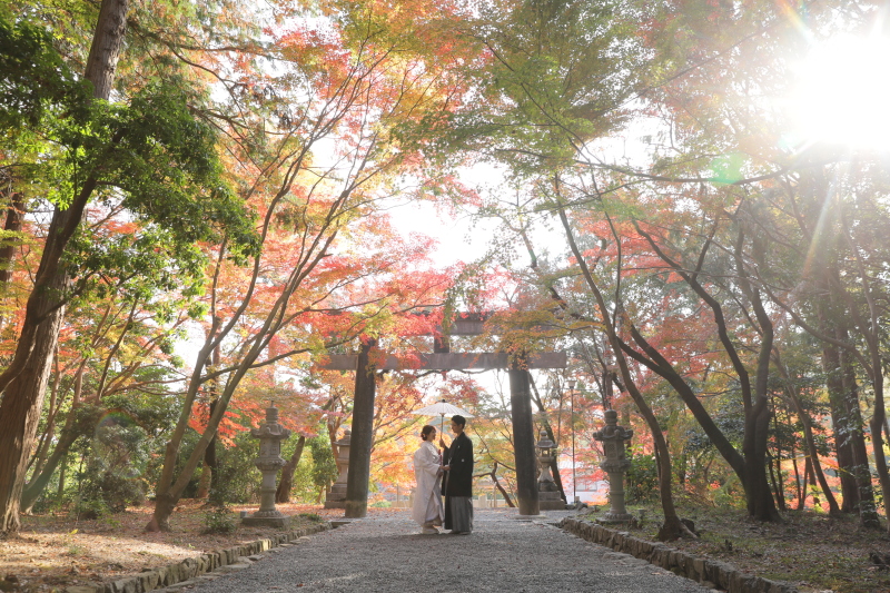 もちろん紅葉も