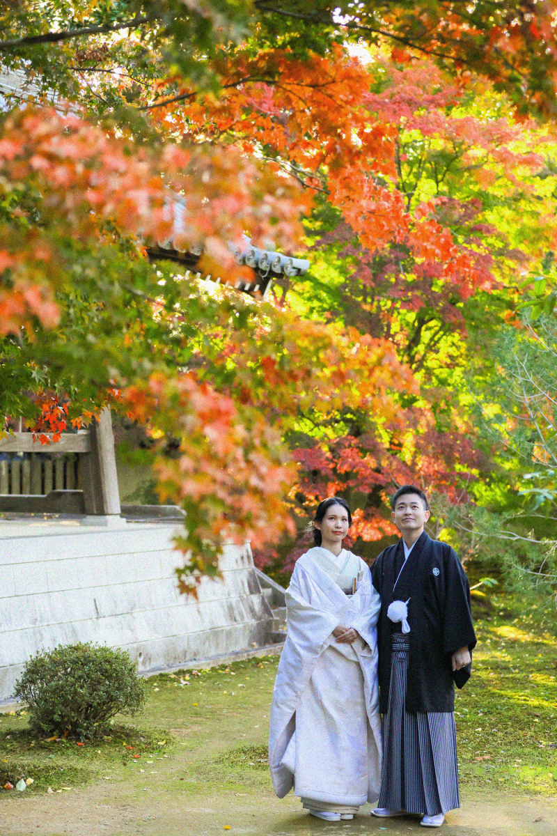 またお庭に降りて。