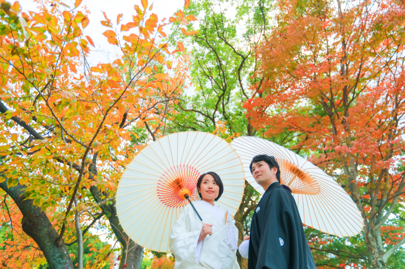 鮮やかに色づく紅葉の下で。