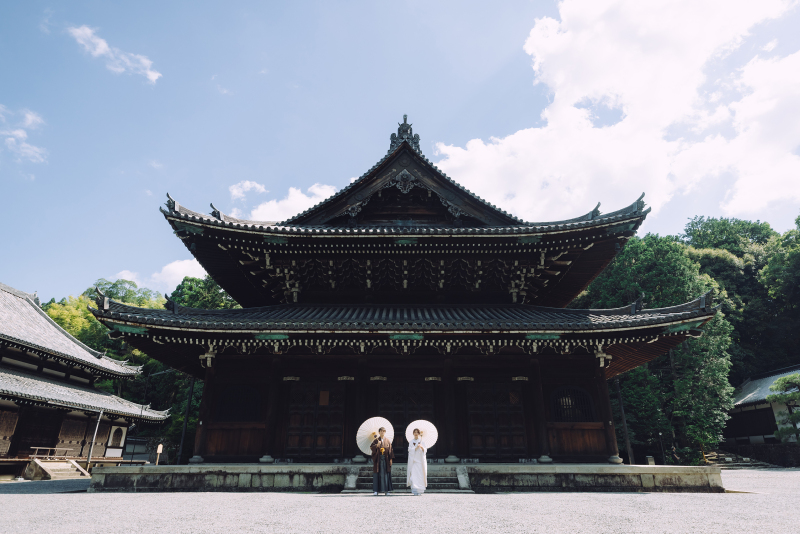 大迫力の一枚。