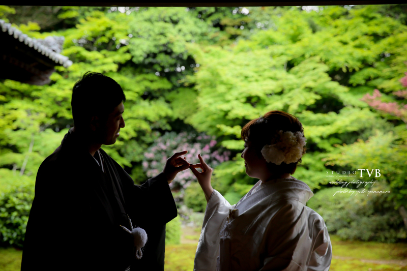 この日の緑はめちゃくちゃ綺麗でした。