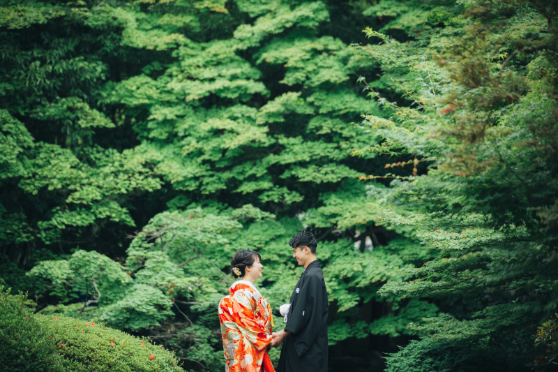歴史ある建物と、緑溢れる日本庭園
