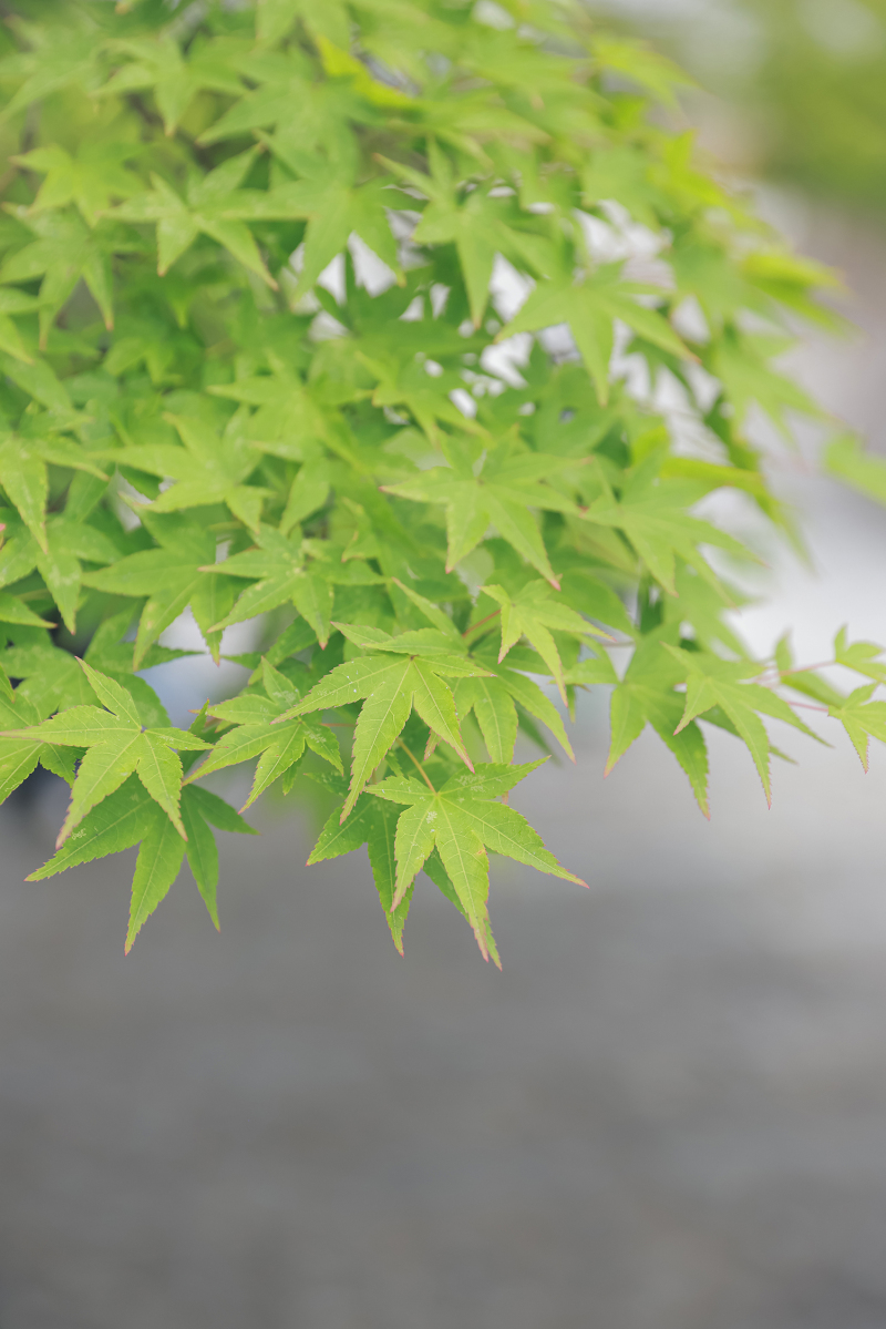 撮影したその時の思い出に...