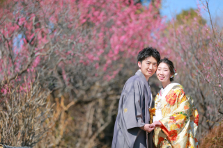 梅のきれいな梅宮大社にて