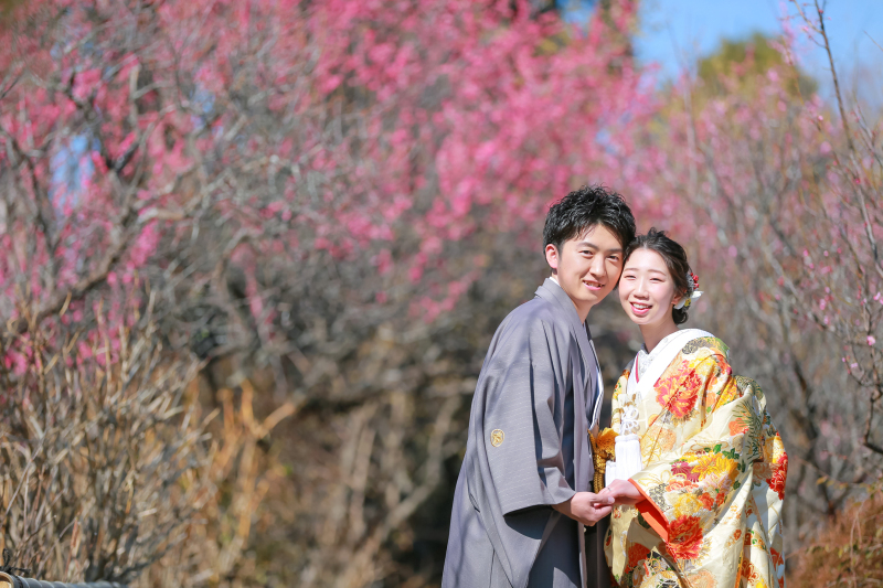 梅のきれいな梅宮大社にて