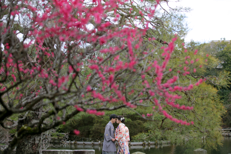 梅の名所、梅宮大社