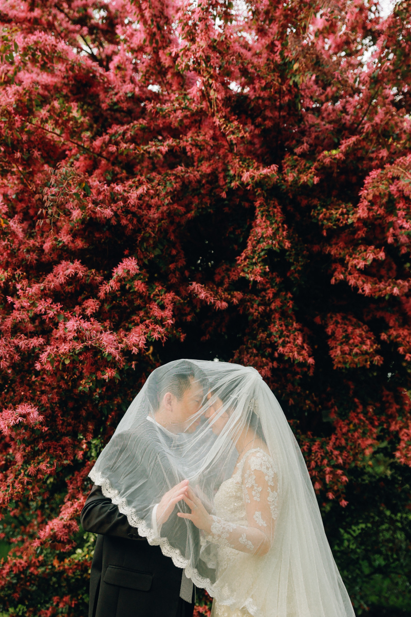 ヴェールカット