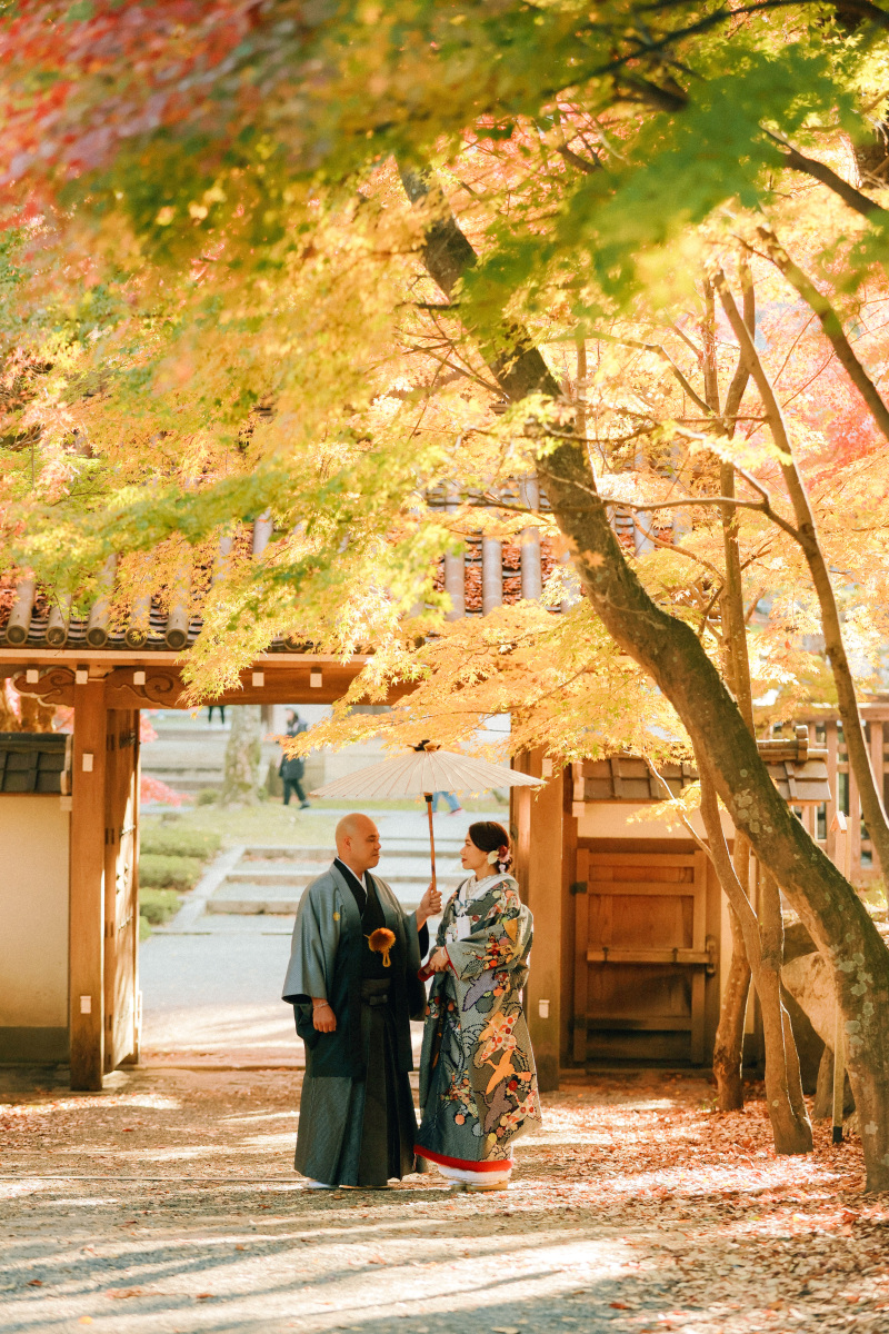 黒の色打掛と紋付姿で銀杏の木の下に