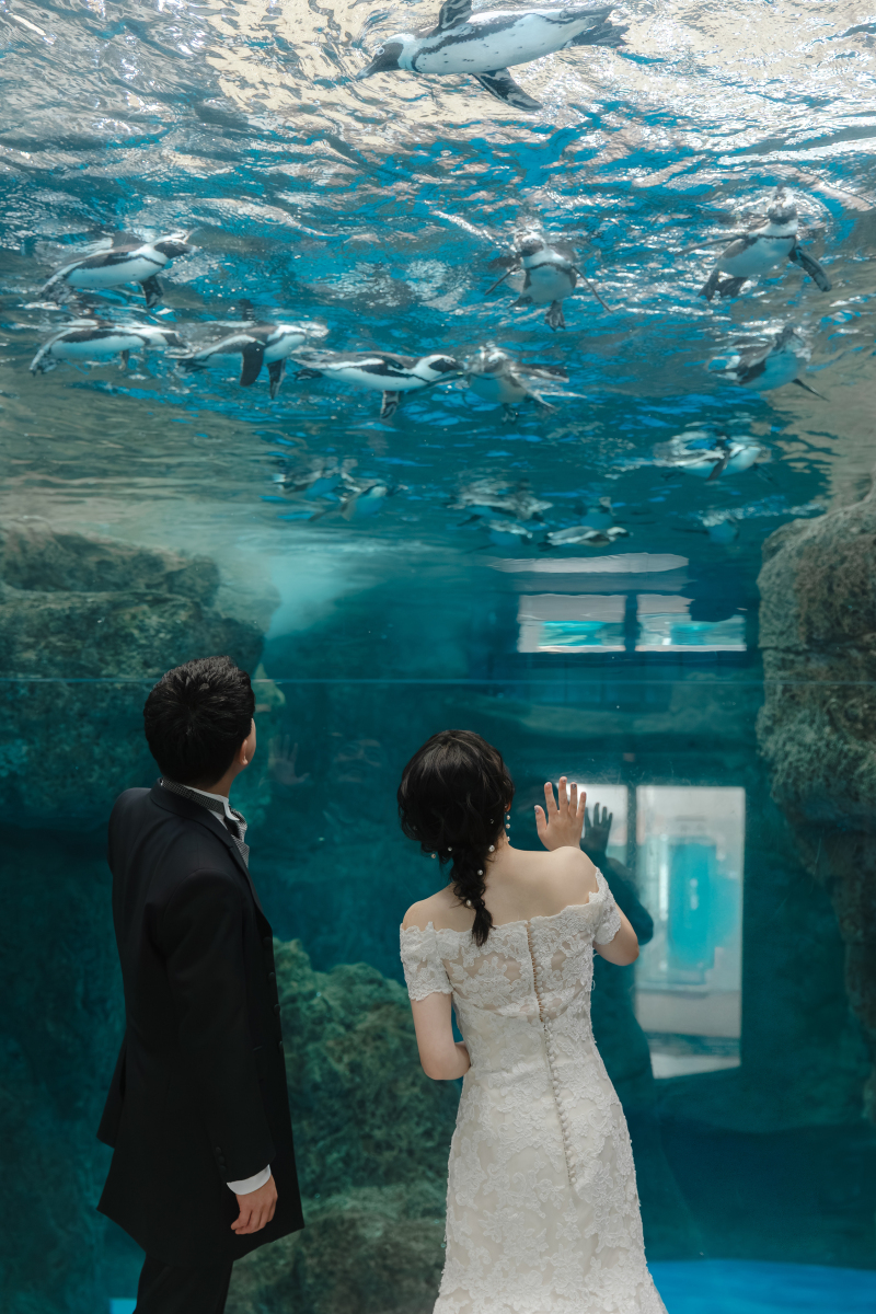 パタパタと空飛ぶ様に泳ぐペンギンたちと♡