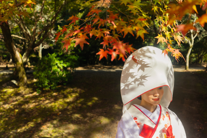 綿帽子には紅葉のシルエットが
