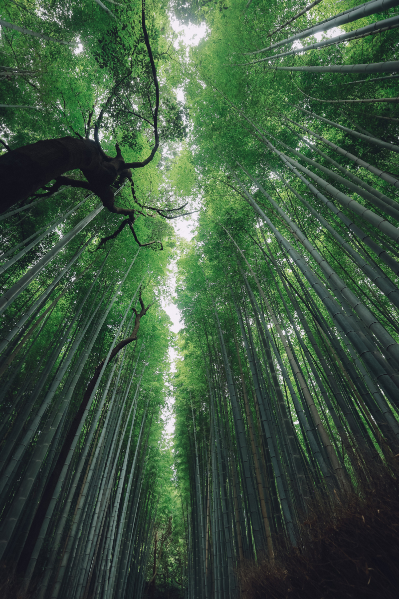 イメージカット。