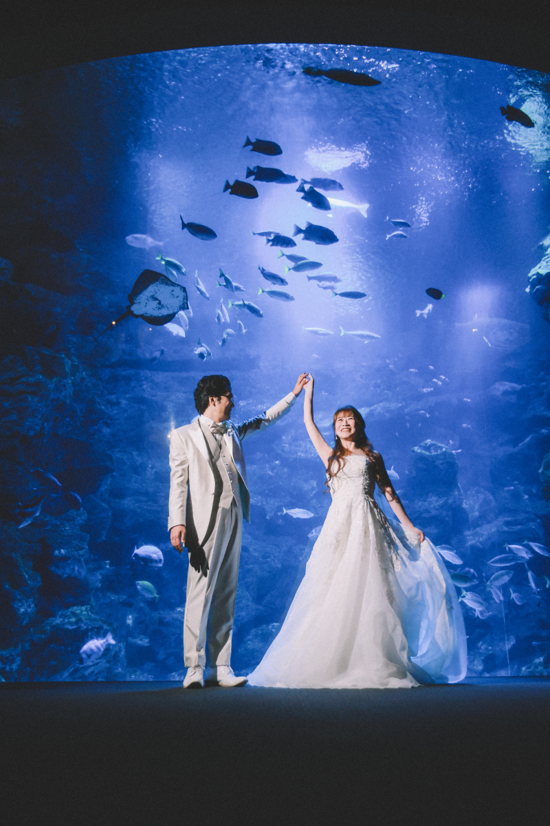 お次は縦長の水槽の前でのダンスタイム