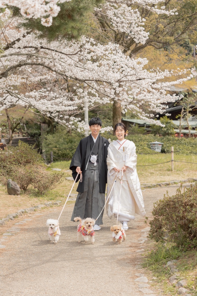 何気ない日常を特別な日に残す