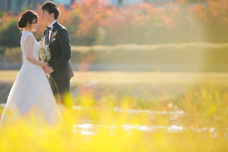 キラキラした光に包まれて。