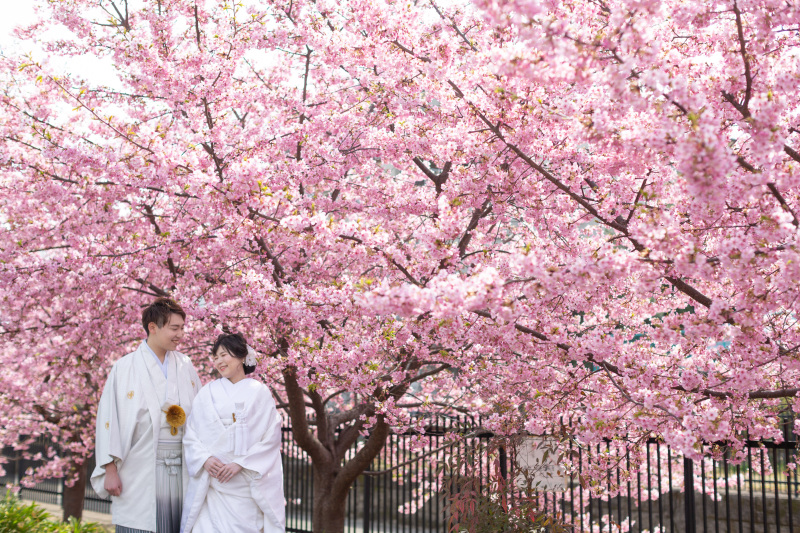 なんと和洋セットで楽しめます！