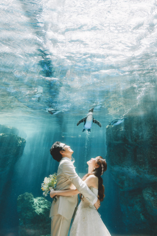 幻想的な京都水族館で紡ぐ、絆のウェディングフォト