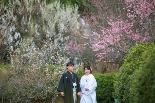 春までの間も梅で華やかに・・・♡　【梅宮大社ロケーション】