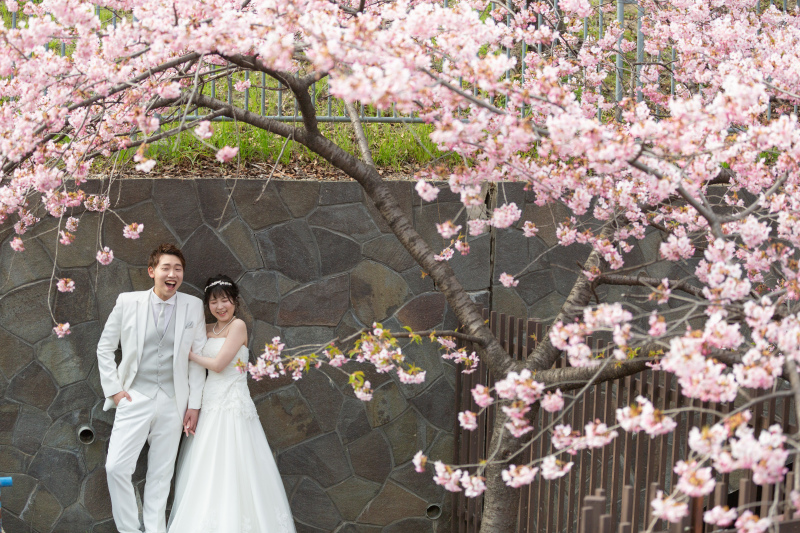 桜並木がとても綺麗でした。