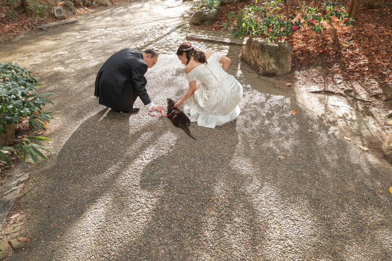 カワウソと一緒に！梅小路公園ロケーション