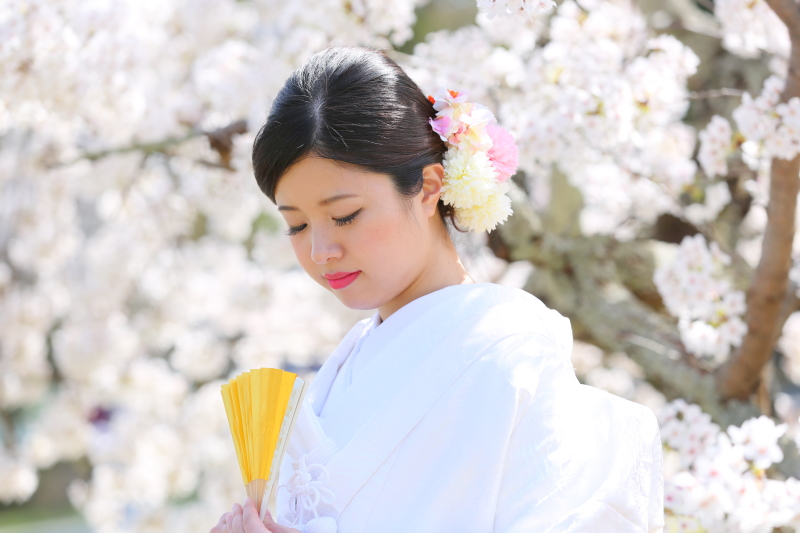 桜と白無垢