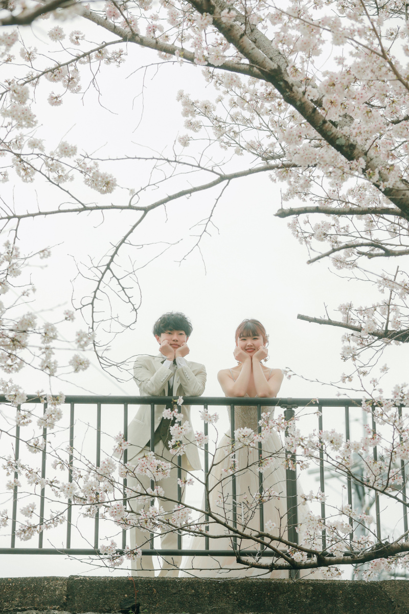 今度は桜の木の上から♪