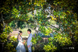 緑の美しい洋装ロケーションフォトプランです！