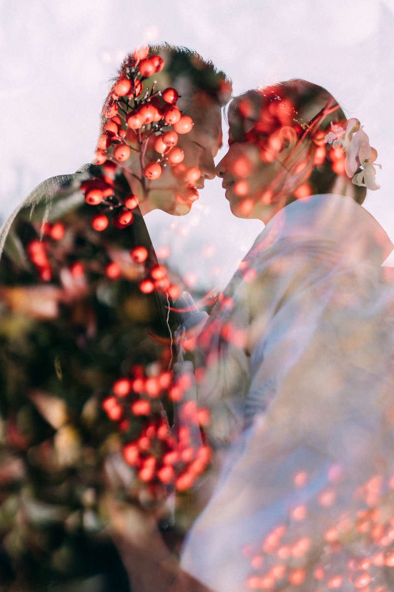 今度はぐっと寄ってのアップショット