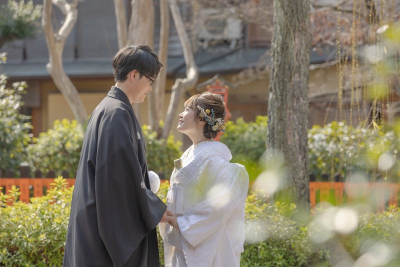 光に照らされて