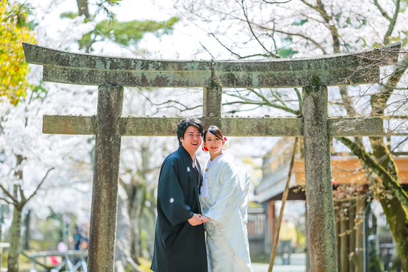 春の爽やかな光。