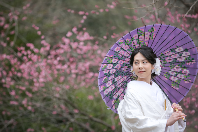 桜とはまた違うお色味も楽しめます!